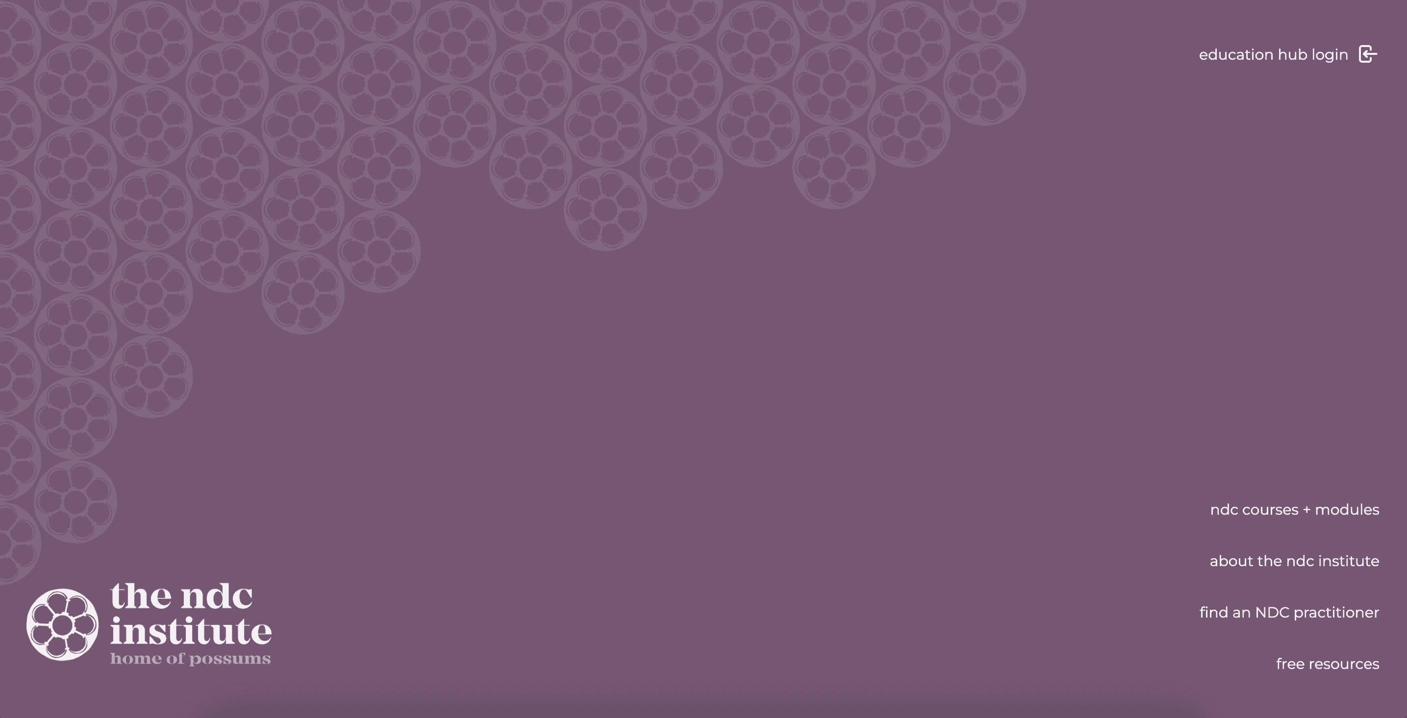 NDC Institute — screenshot