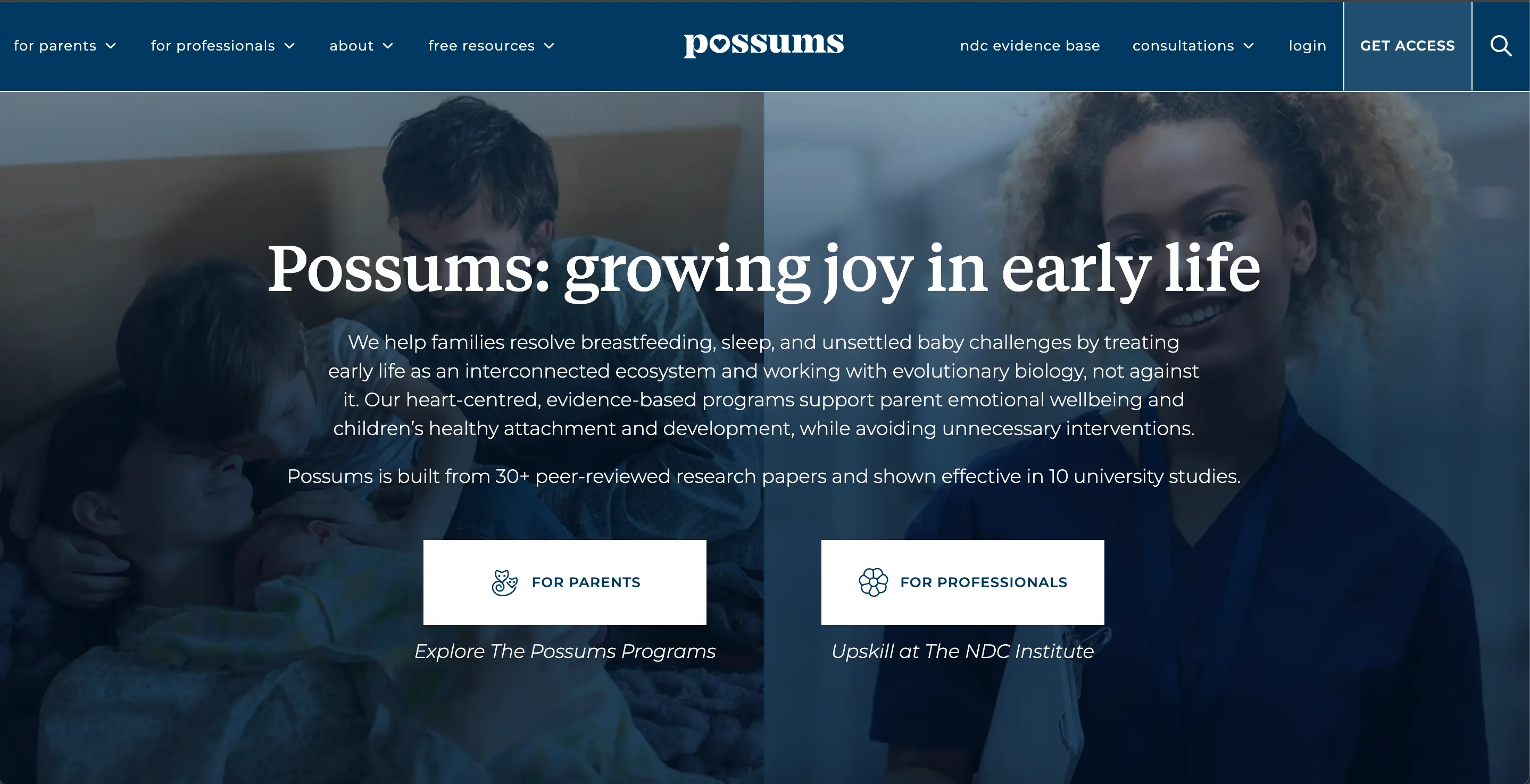 Possums — screenshot
